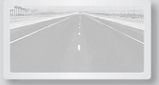 Newsletter-Subscription