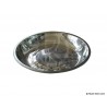 Plate in stainless steel ø22cm