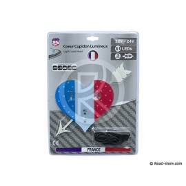 COEUR LUMINEUX PAYS 23 X 25CM 61 LEDS 12/24V FRANCE